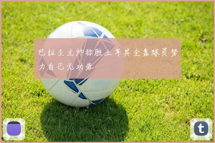 巴拉圭主帅称胜土耳其全靠球员努力自己无功劳
