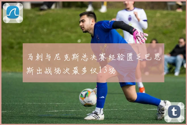 马刺与尼克斯总决赛经验匮乏巴恩斯出战场次最多仅13场